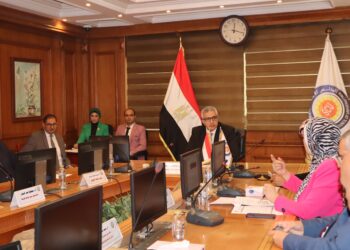 منح دراسية للأفارقة.. قرارات مهمة من “الأعلى للجامعات”